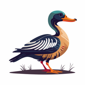 Stylized Duck Illustration