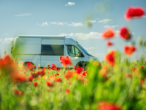 close up view to white van through red poppies in summer day