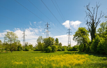 Obraz premium High-voltage transmission towers above a flowering meadow in Geispolsheim, France