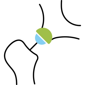 Hip joint icon. Healthcare and orthopedics line symbol. Color.