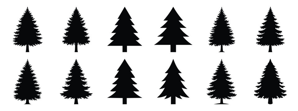 pine tree icon set silhouette Vector illustration. Christmas vector icons and white background.