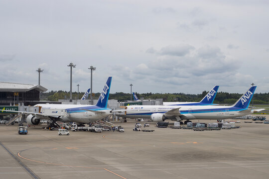 Narita, Chiba, Japan - June 14, 2023: ANA aircrafts at Narita International Airport (NRT) in Narita, Chiba, Japan.