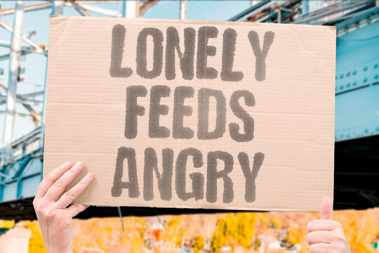 "Lonely feeds angry" Isolation online breeds hostility. LONELINESS. ANGRI. ONLINE. DIVISION. TOXIC.