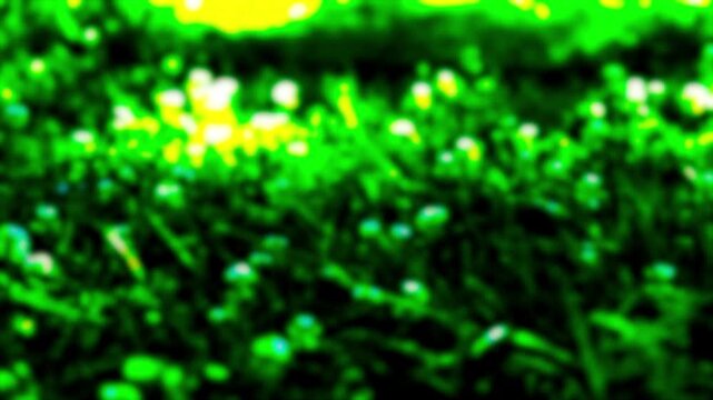 Abstract Blurred High Contrast Green Grass Background with Copy Space for Text Overlay