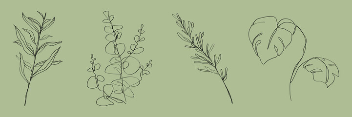 Fototapeta premium Vector illustration of minimalist plant line drawings on a green background.