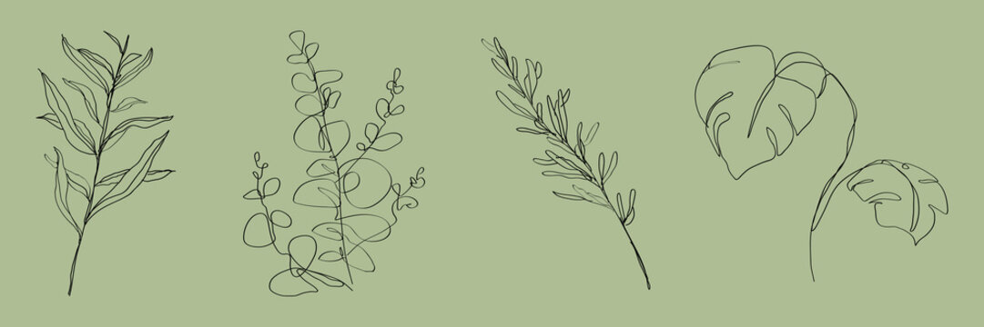 Vector illustration of minimalist plant line drawings on a green background.