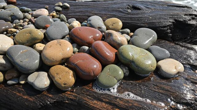 Waves gently lapping at vibrant polished stones resting on weathered driftwood, close-up nature scene