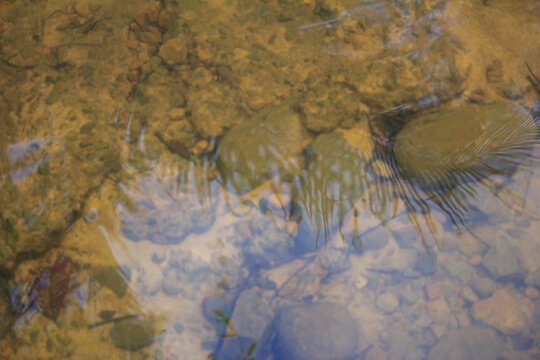 A high-angle view of clear river water rippling over a rocky, sandy bed with a soft palm leaf reflection