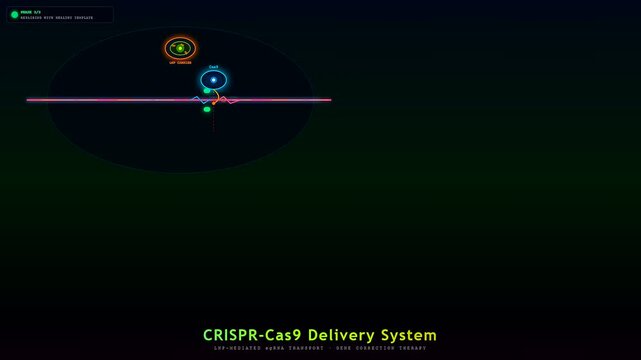This animated visualization demonstrates precise targeted drug delivery for gene correction therapy using an LNP mediated mRNA transport system at a molecular level.