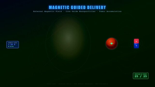 A targeted drug delivery mechanism using magnetic nanoparticles is precisely demonstrated, showing their directed accumulation on a tumor via an external 1.50 Tesla magnetic field.