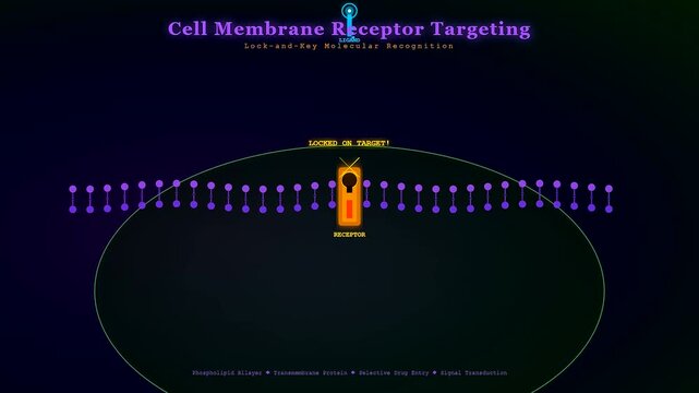 Visualizing Targeted Drug Delivery mechanisms, a detailed scientific animation illustrates molecular recognition as a key successfully engages with a specific cellular receptor on a cell membrane.