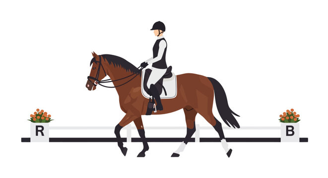 Equestrian Dressage Rider on Horseback at Arena Markers R and B