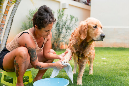 Woman cleaning golden retriever paw outdoors, pet grooming routine