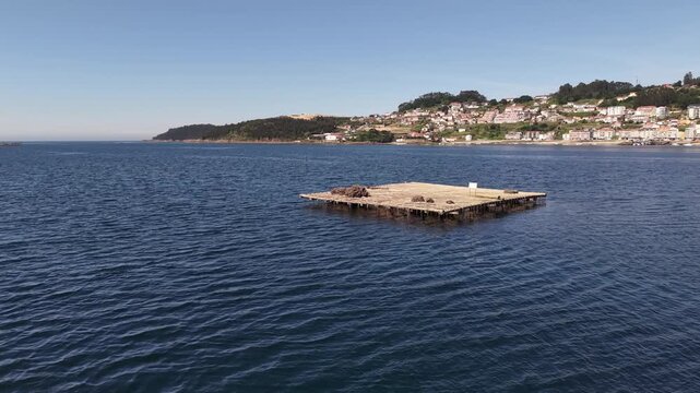 Mussel rafts dotting the waters of ria de pontevedra, a key aquaculture area in galicia