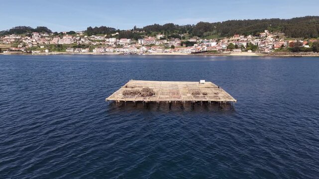 Mussel rafts dotting the waters of ria de pontevedra, a key aquaculture area in galicia