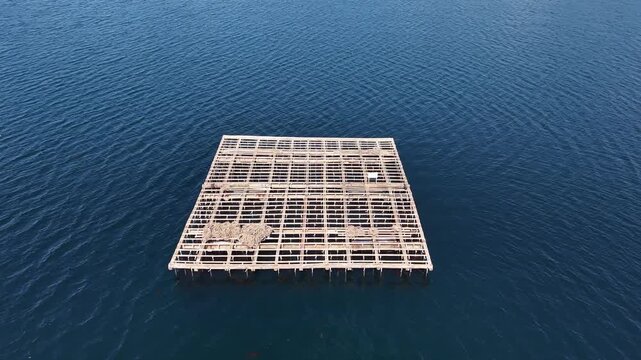 Mussel rafts dotting the waters of ria de pontevedra, a key aquaculture area in galicia