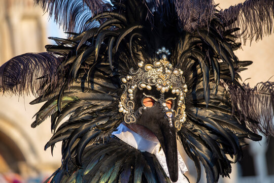 Venice Carnival Feathered Headdress