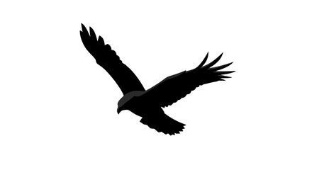 Obraz premium Silhouette of a soaring eagle in flight.