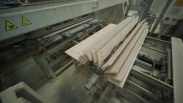 Large spacious woodworking production facility with stacks of light wooden plywood sheets and industrial machinery in motion