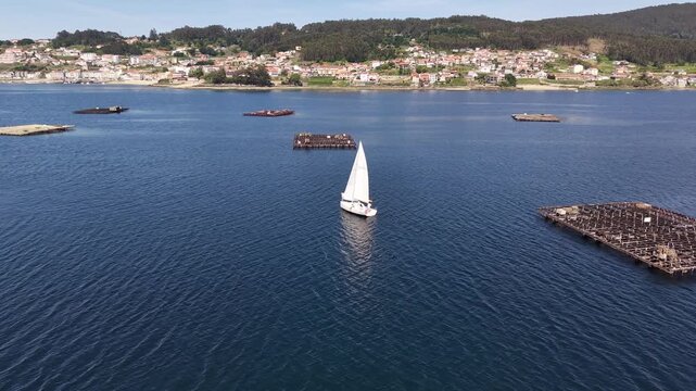 Mussel rafts dotting the waters of ria de pontevedra, a key aquaculture area in galicia