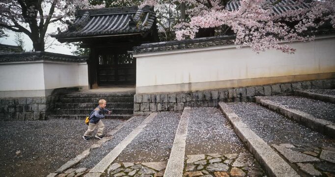 Little boy running up steps of ancient Japanese area with surrounding cherry blossoms - cinematic slow motion