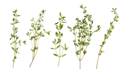 Fresh thyme isolated on white, set. Aromatic spice © New Africa