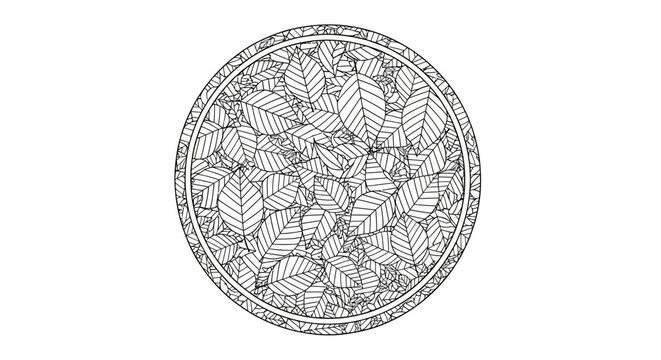 Circular Floral Leaf Pattern Design Outline