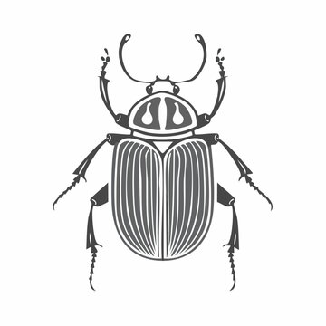 Beetle Vector Images. Black and white Beetle Image vector isolated on white background.