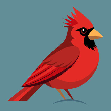 Beau cardinal nordique m&acirc;le perch&eacute; sur une branche d&rsquo;arbre