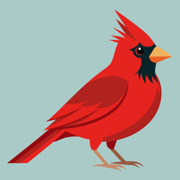 Beau cardinal nordique m&acirc;le perch&eacute; sur une branche d&rsquo;arbre