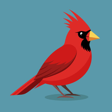 Beau cardinal nordique m&acirc;le perch&eacute; sur une branche d&rsquo;arbre