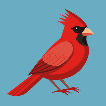 Beau cardinal nordique m&acirc;le perch&eacute; sur une branche d&rsquo;arbre