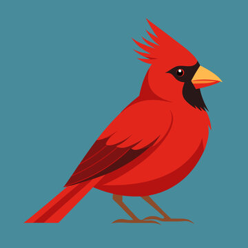 Beau cardinal nordique m&acirc;le perch&eacute; sur une branche d&rsquo;arbre