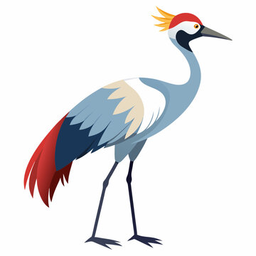 Heron Bird with Long Legs and Beak Standing Vector Illustration