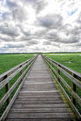 Fototapeta premium marsh boardwalk