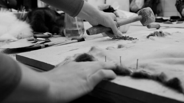 Video of process nailing small animal pelt to specialized work table using wooden mallet for fur garment preparation and traditional leather stretching techniques