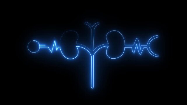 Glowing Human kidney icon animation. This renal system symbol is a neon kidney 4k animation. The kidney was divided into the right and left halves icon animated. heart