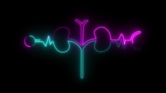 Glowing Human kidney icon animation. This renal system symbol is a neon kidney 4k animation. The kidney was divided into the right and left halves icon animated. heart