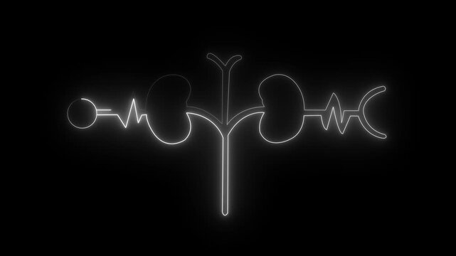 Glowing Human kidney icon animation. This renal system symbol is a neon kidney 4k animation. The kidney was divided into the right and left halves icon animated. heart