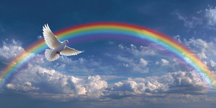 White Dove Flying Against Blue Sky with Rainbow