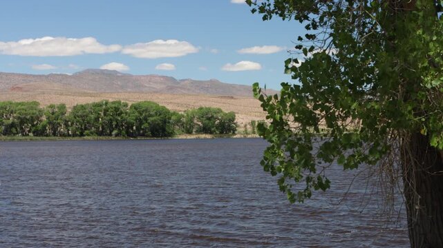 Birds fly over the lake and marsh at Pahranagat National Wildlife Refuge in Nevada