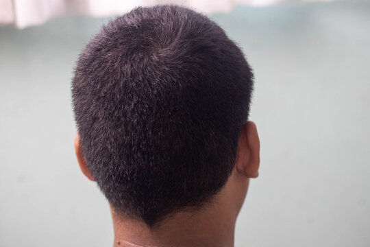 Back view short hair male head haircut neck close up dark hair human