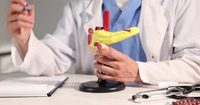 Doctor demonstrating model of pancreas and writing on clipboard at light wooden table in clinic, closeup
