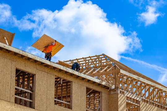 A wide horizontal low-angle view of construction workers wearing safety harnesses while installing plywood sheathing panels over wooden roof trusses on a multi-story building framing structure under a
