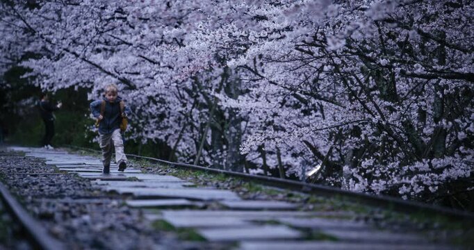 Cinematic slow motion of kid with backpack running on stone steps past cherry blossom trees early in morning