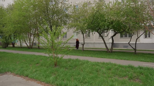 Solitary walker on urban sidewalk by trees, apartment facade and grassy lawn in foreground, birchlined path with overcast light, distant silhouette passes entrance, quiet residential mood