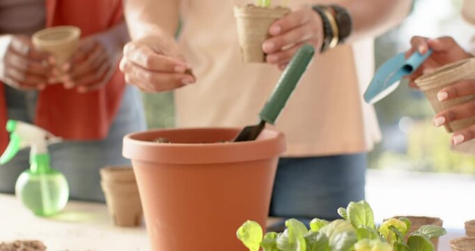 African American group seeing seedling tray on porch, filling clay pot, planting sprout with trowel