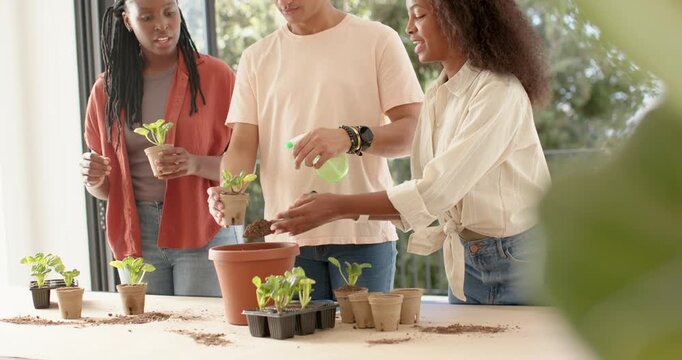 African American friends gathering seedlings, potting into terracotta pot at table with trowel