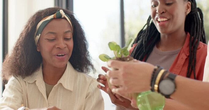 Diverse friends in sunlit room host misting seedling with green mister man inspecting learning care