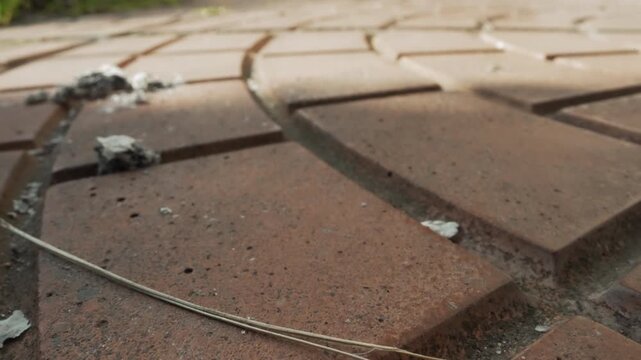 Macro closeup brick pavement groove revealing scattered ash pebble and twig, lowangle composition with warm sunlight and elongated shadows, close focus on paver joints, textured surface, subtle wear